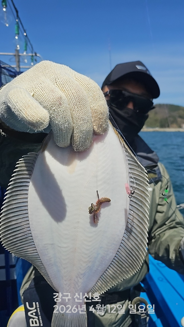 신신낚시 강구점 신신호_사진_20260412_20.jpg