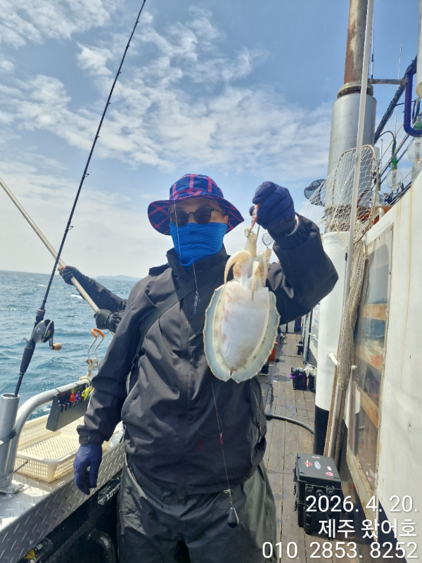 제주왔어호_사진_20260420_15.jpg