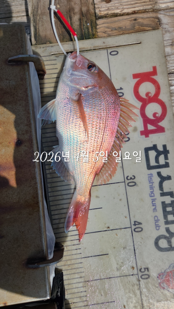 1004피싱_사진_20260405_7.jpg