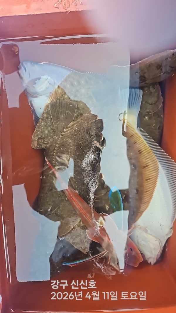 신신낚시 강구점 신신호_사진_20260411_17.jpg