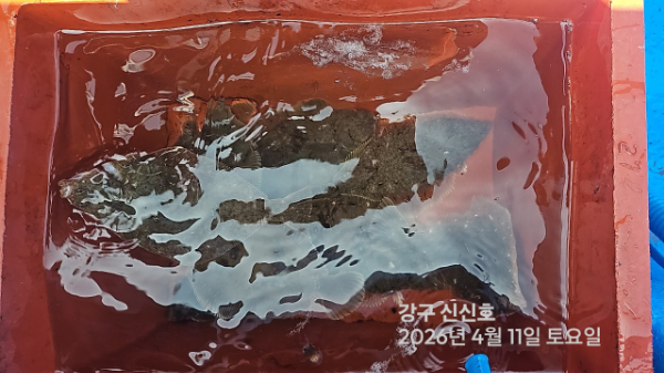 신신낚시 강구점 신신호_사진_20260411_20.jpg