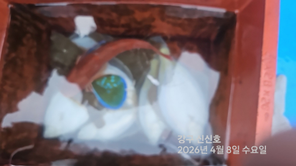 신신낚시 강구점 신신호_사진_20260408_16.jpg