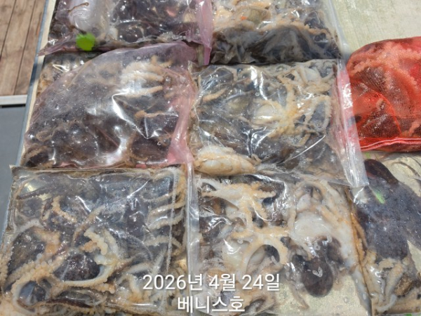KakaoTalk_20260424_141325417_01.jpg