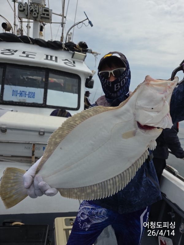 최강피싱 063.463.0800_사진_20260414_5.jpg