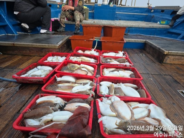 3월29일심해갑 (28).jpg