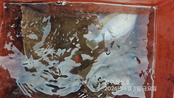 신신낚시 강구점 신신호_사진_20260403_12.jpg