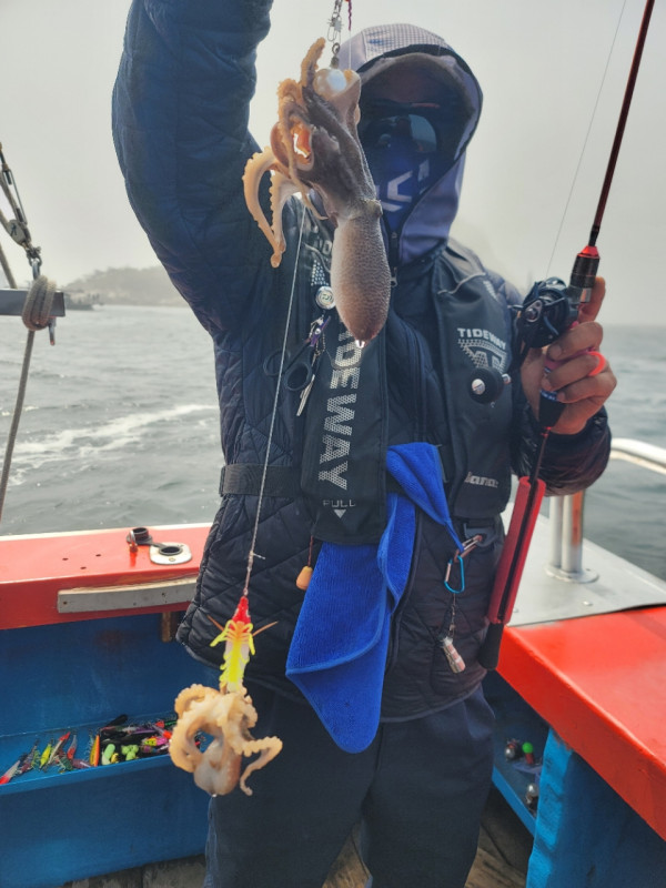 군산 선상낚시, 바다낚시 출조 전문 ☆서군산낚시☆_사진_20260411_10.jpg