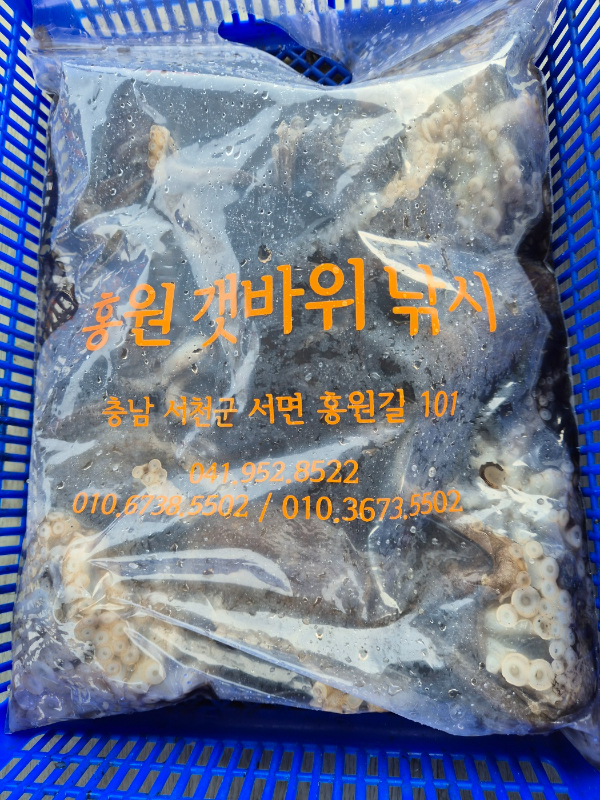KakaoTalk_20260410_113746912_05.jpg