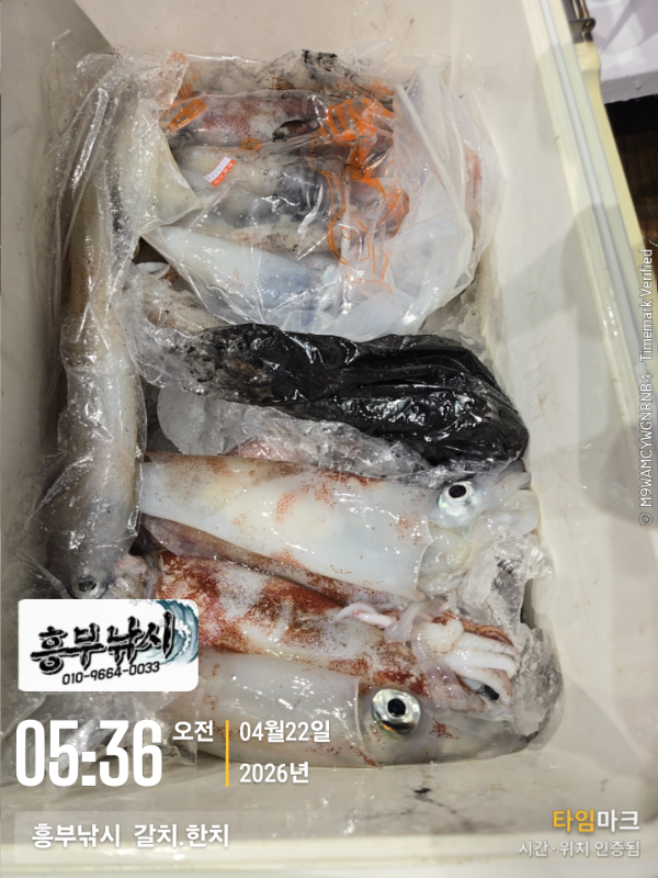 2026-04-22 05.36.58__(-흥부낚시  갈치.한치).jpg