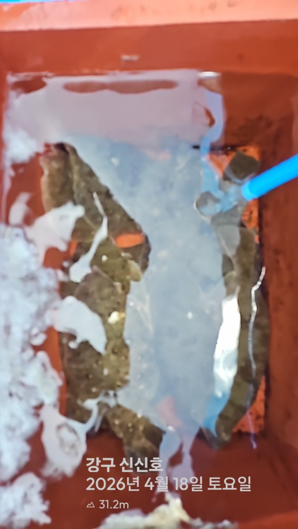 신신낚시 강구점 신신호_사진_20260418_17.jpg