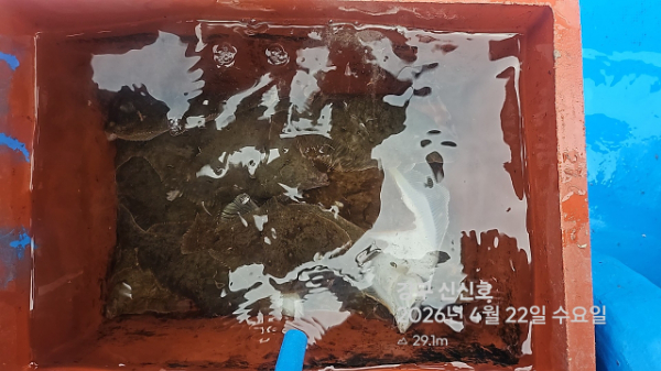 신신낚시 강구점 신신호_사진_20260422_13.jpg