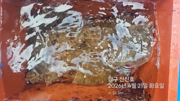 신신낚시 강구점 신신호_사진_20260421_7.jpg