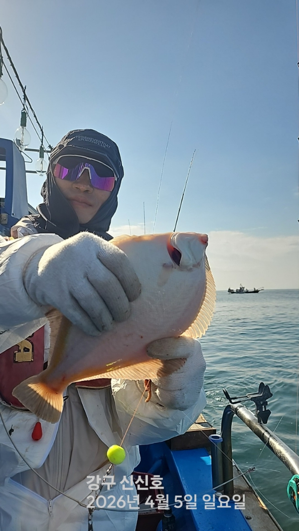 신신낚시 강구점 신신호_사진_20260405_9.jpg