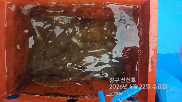 신신낚시 강구점 신신호_사진_20260422_15.jpg