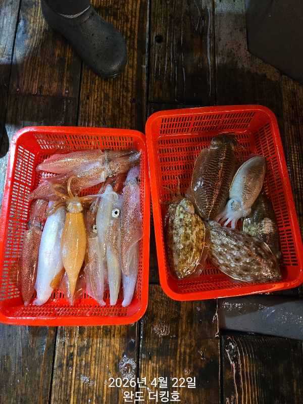 1000059521.jpg