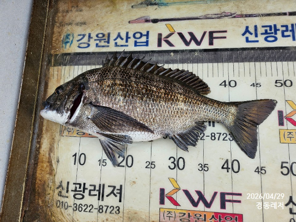 슬라이드0009.jpg