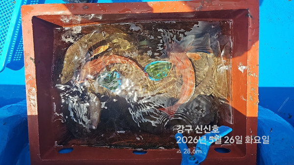 신신낚시 강구점 신신호_사진_20260526_6.jpg