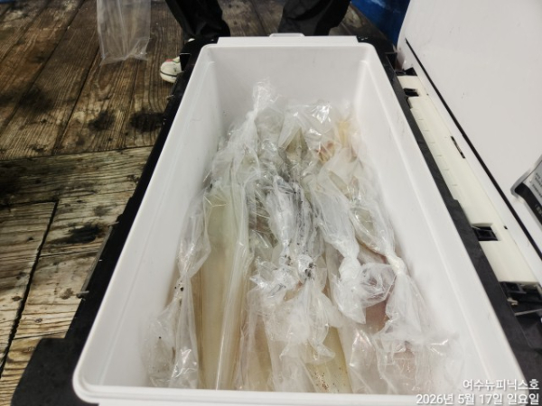 5월17일한치 (31).jpg
