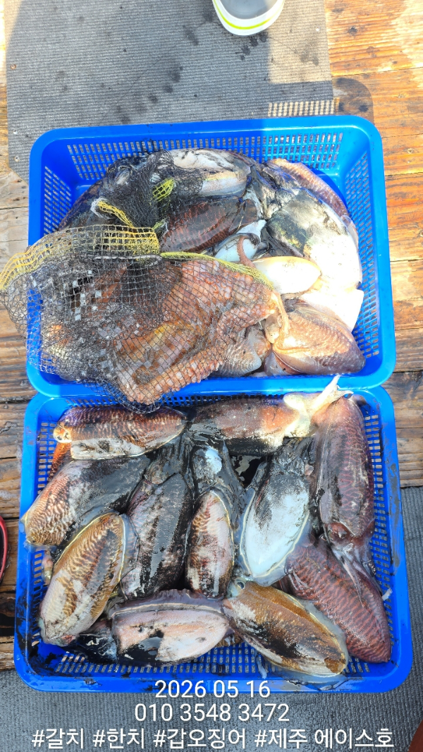 KakaoTalk_20260517_192709656_01.jpg