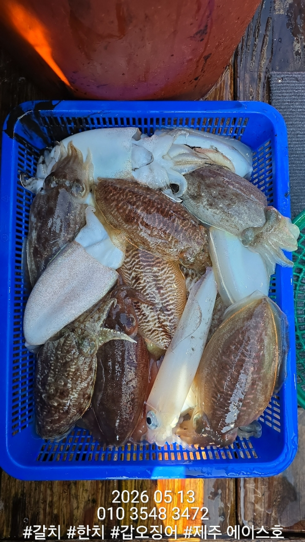 KakaoTalk_20260514_104014758_05.jpg