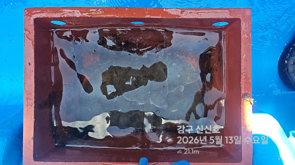 신신낚시 강구점 신신호_사진_20260513_19.jpg