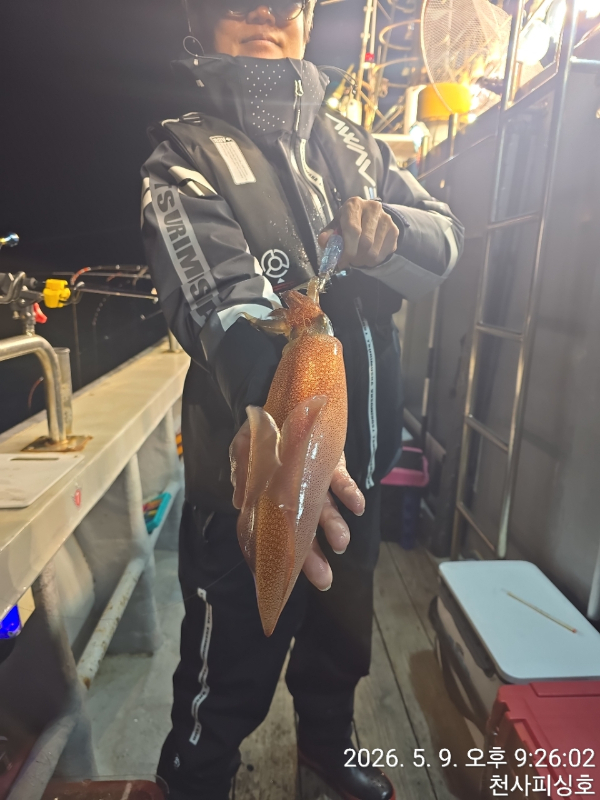 1004피싱_사진_20260510_8.jpg