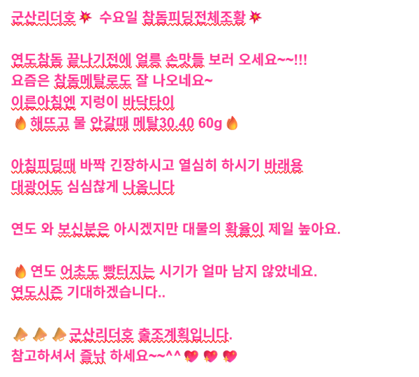 화면 캡처 2026-05-13 133337참돔13수.png