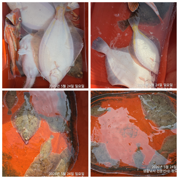 PhotoCollage_1779707051301.jpg