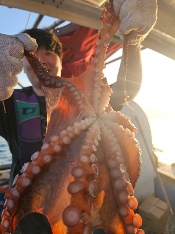D4A14819-33A3-4D8F-B08C-AD8422A90BA4.jpeg