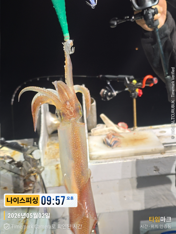 2026-05-02 09.57.01__(제목-나이스피싱).jpg