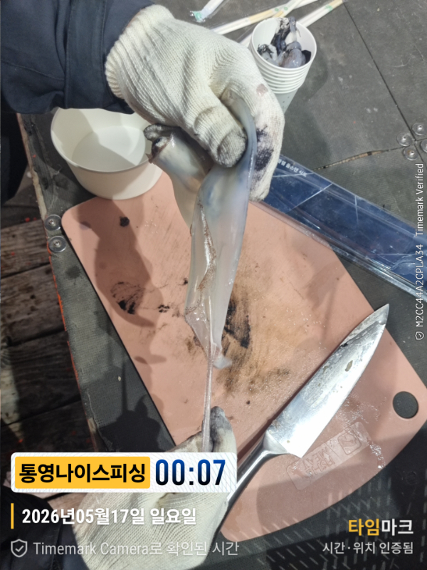 2026-05-17 00.07.54__(제목-통영나이스피싱).jpg