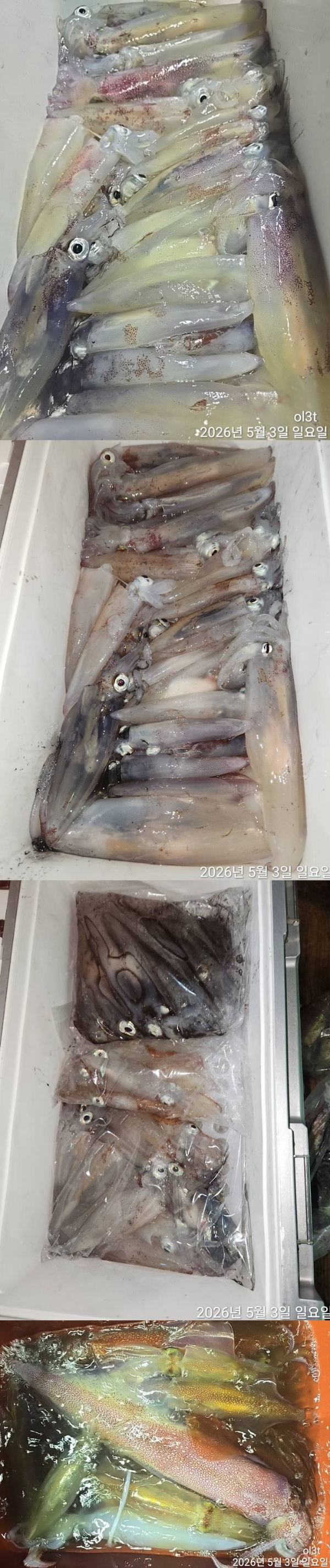 1777768076296-vert.jpg