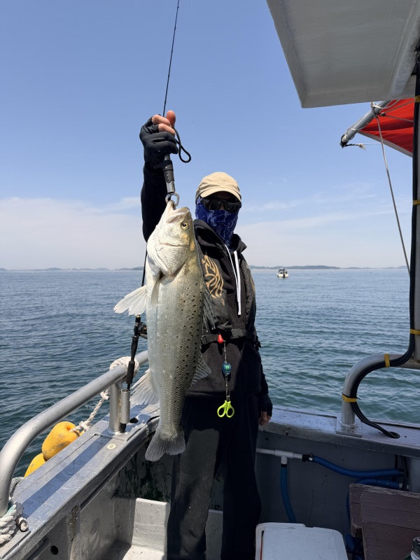 IMG_7009.jpeg