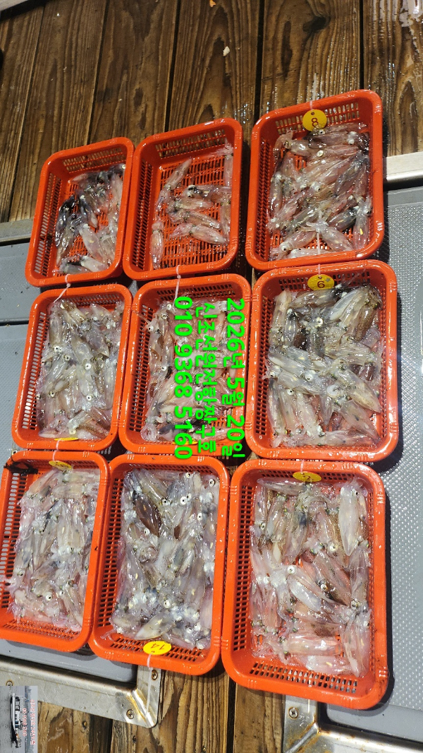 KakaoTalk_20260520_101625043_04.jpg