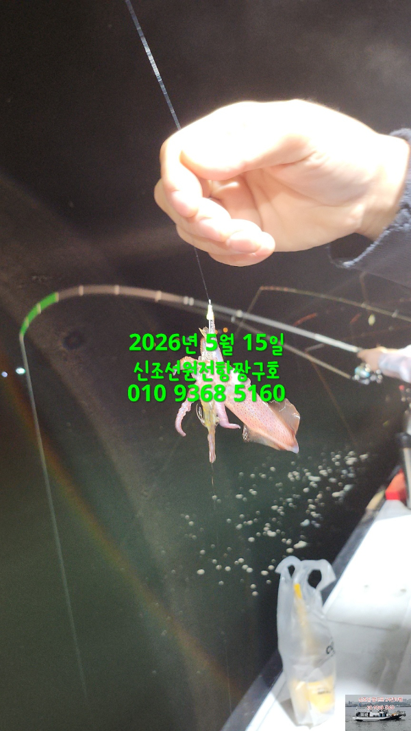 KakaoTalk_20260516_031933420_01.jpg