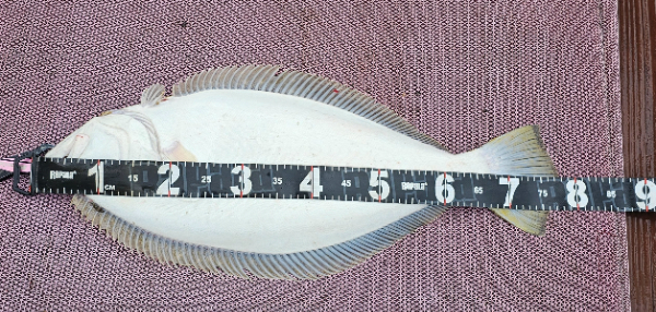1000053947.jpg