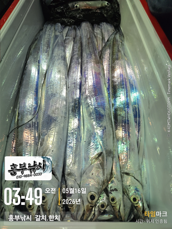 2026-05-16 03.49.11__(-흥부낚시  갈치.한치).jpg