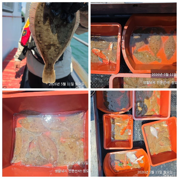 PhotoCollage_1778735474086.jpg