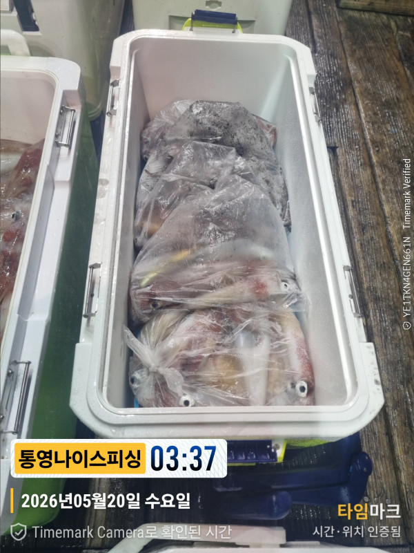 2026-05-20 03.37.44__(제목-통영나이스피싱).jpg