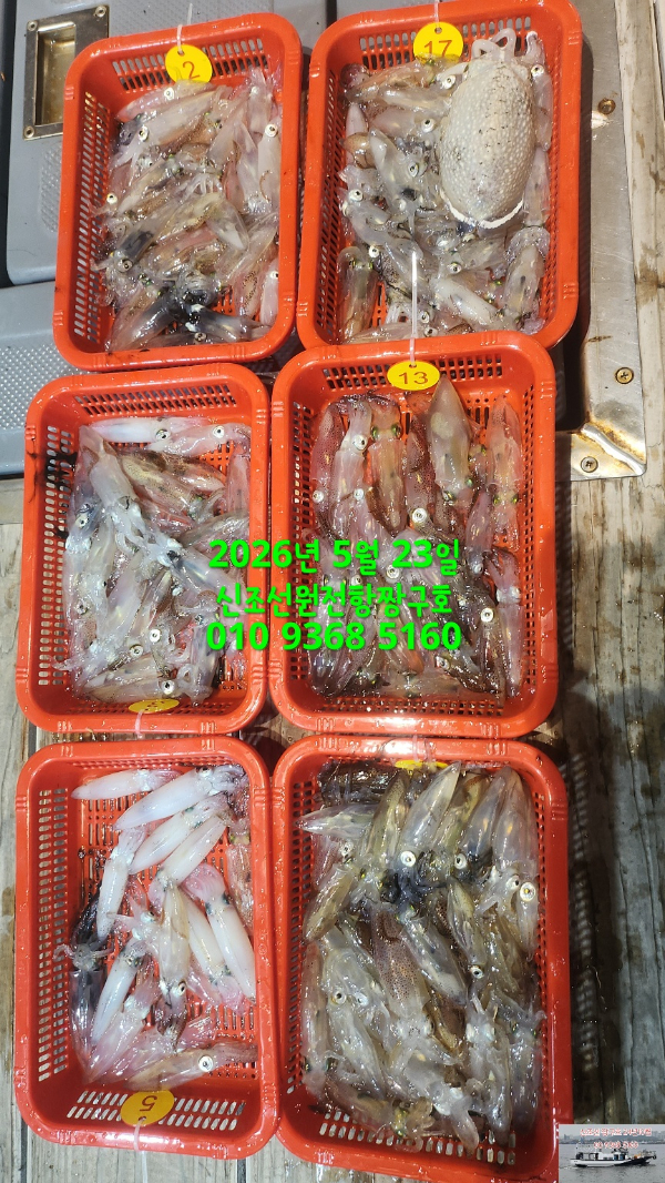 KakaoTalk_20260527_094948376_06.jpg
