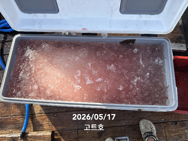 TC_06882.jpeg