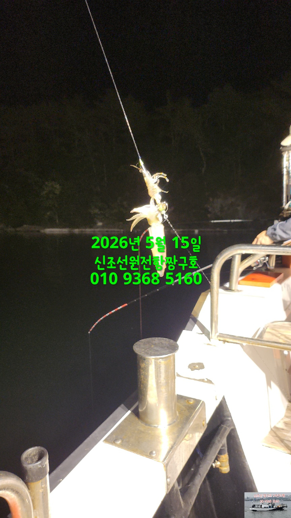 KakaoTalk_20260516_031933420.jpg