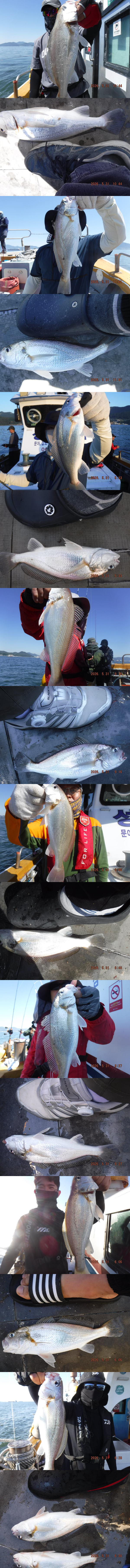 출조1436.jpg