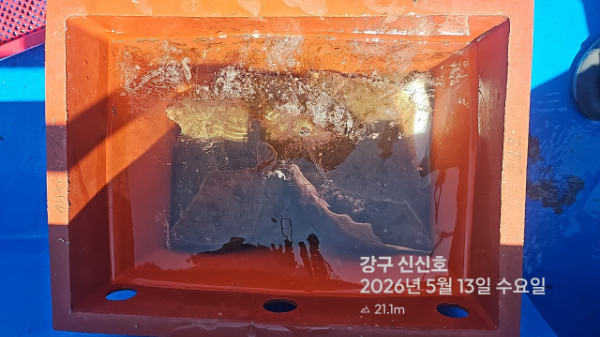 신신낚시 강구점 신신호_사진_20260513_18.jpg