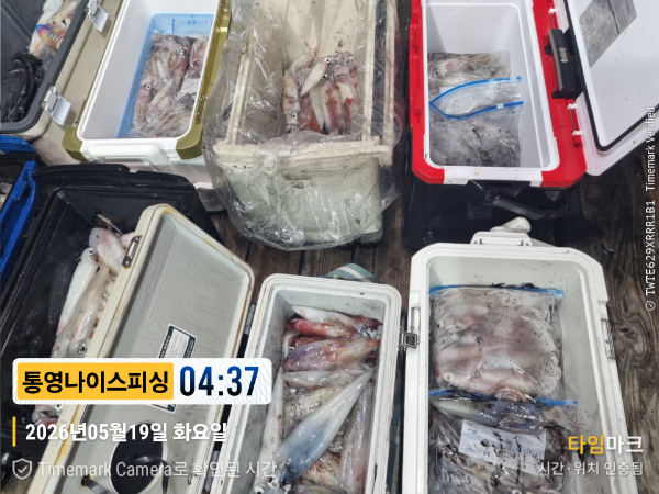 2026-05-19 04.37.40__(제목-통영나이스피싱).jpg