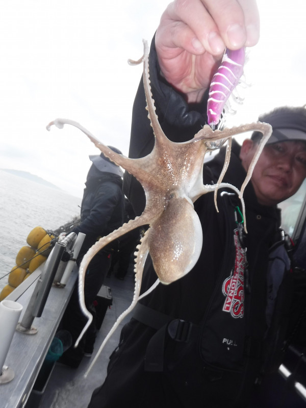 DSCF5731.JPG