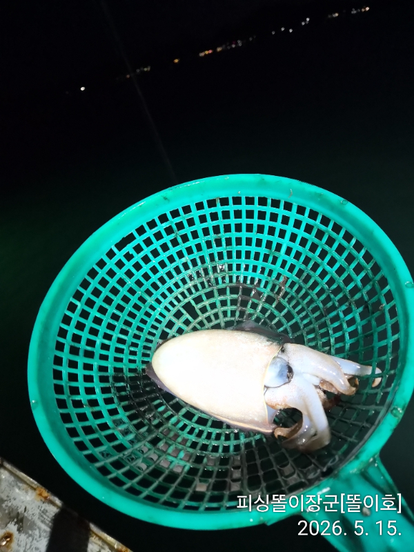 IMG_20260515_201255.jpg