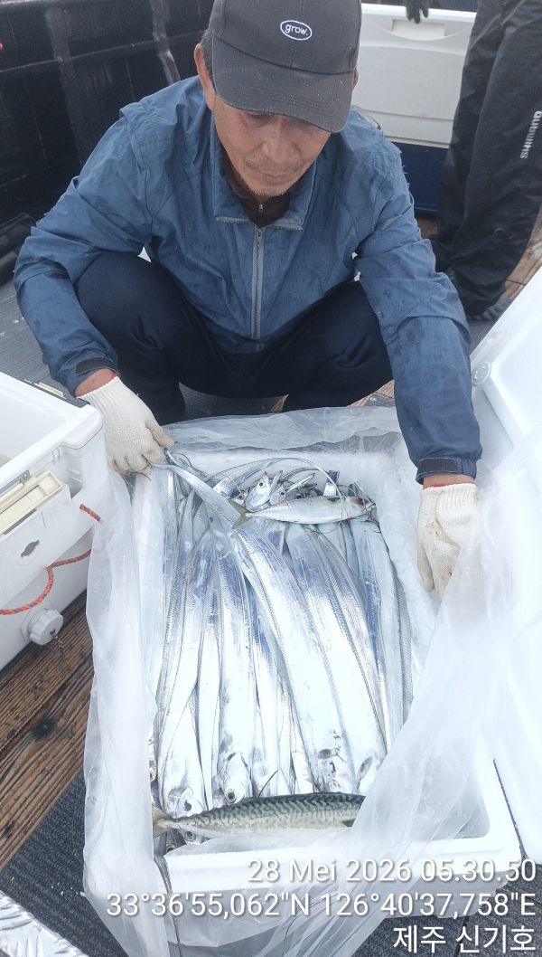 KakaoTalk_20260528_084021669.jpg