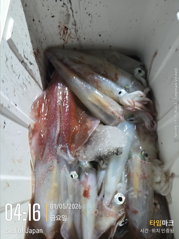 33835.jpg