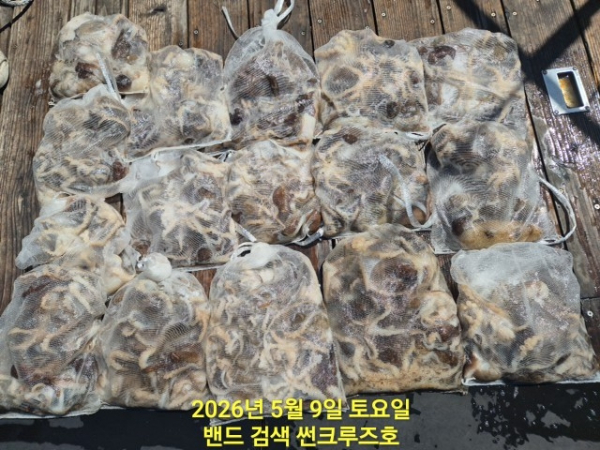 0_116Ud018svc80afnzj8hoak_82sd02.jpg